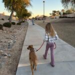 in-home training